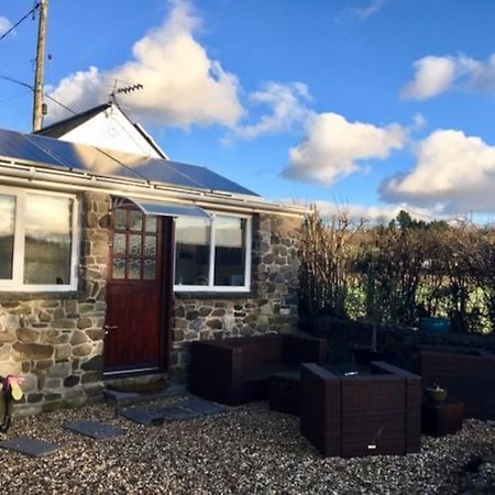Daffodil House , West Wales Llandovery Ngoại thất bức ảnh