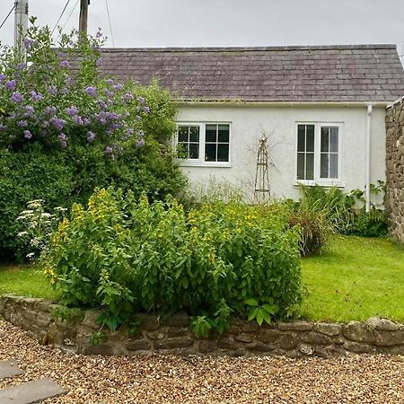 Daffodil House , West Wales Llandovery Ngoại thất bức ảnh