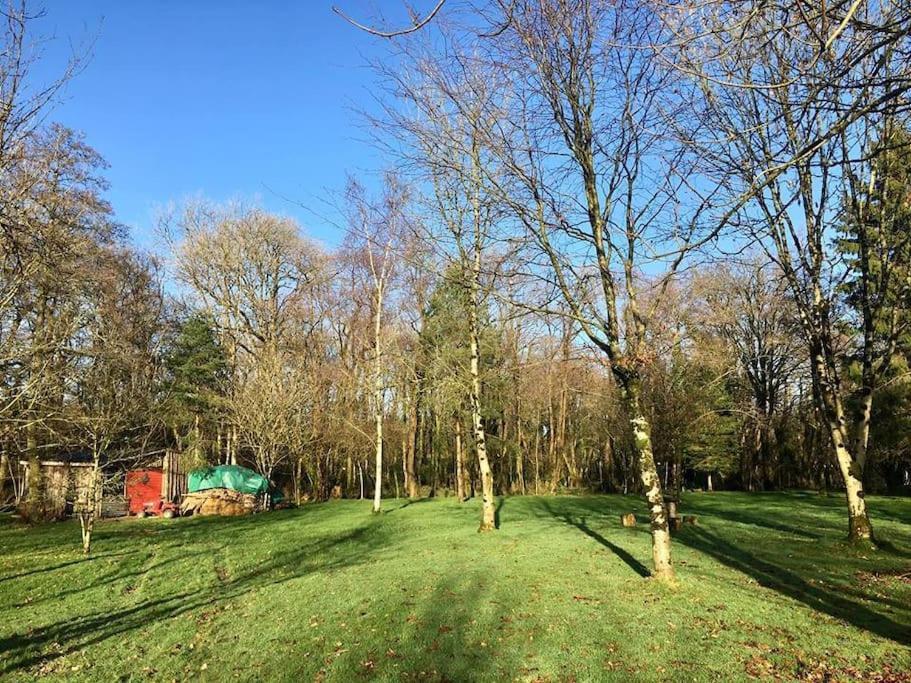 Daffodil House , West Wales Llandovery Ngoại thất bức ảnh