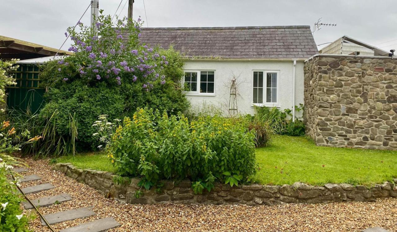 Daffodil House , West Wales Llandovery Ngoại thất bức ảnh